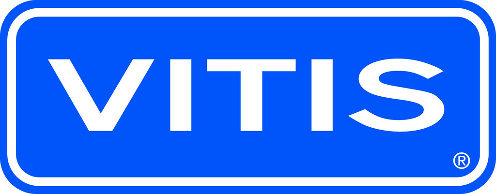 Vitis Vitis