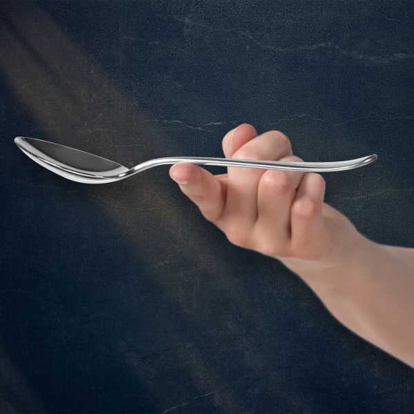 Набор столовых приборов WMF Merit, 66 предметов 1140006341